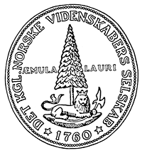 VIDEN_liten