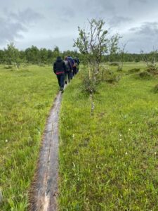 Botanisk vandring på Sølendet @ Sølendet naturreservat