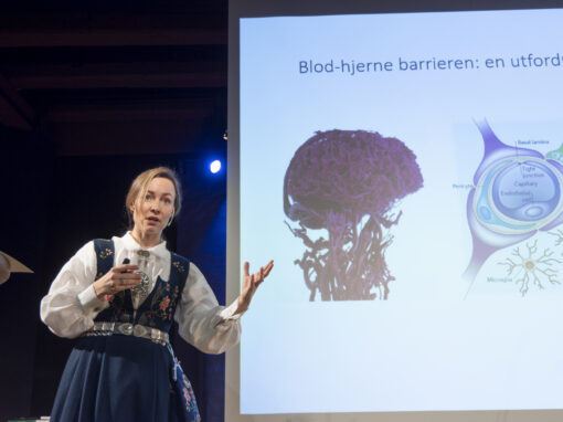 Foreslå en forsker til vitenskapelig priser