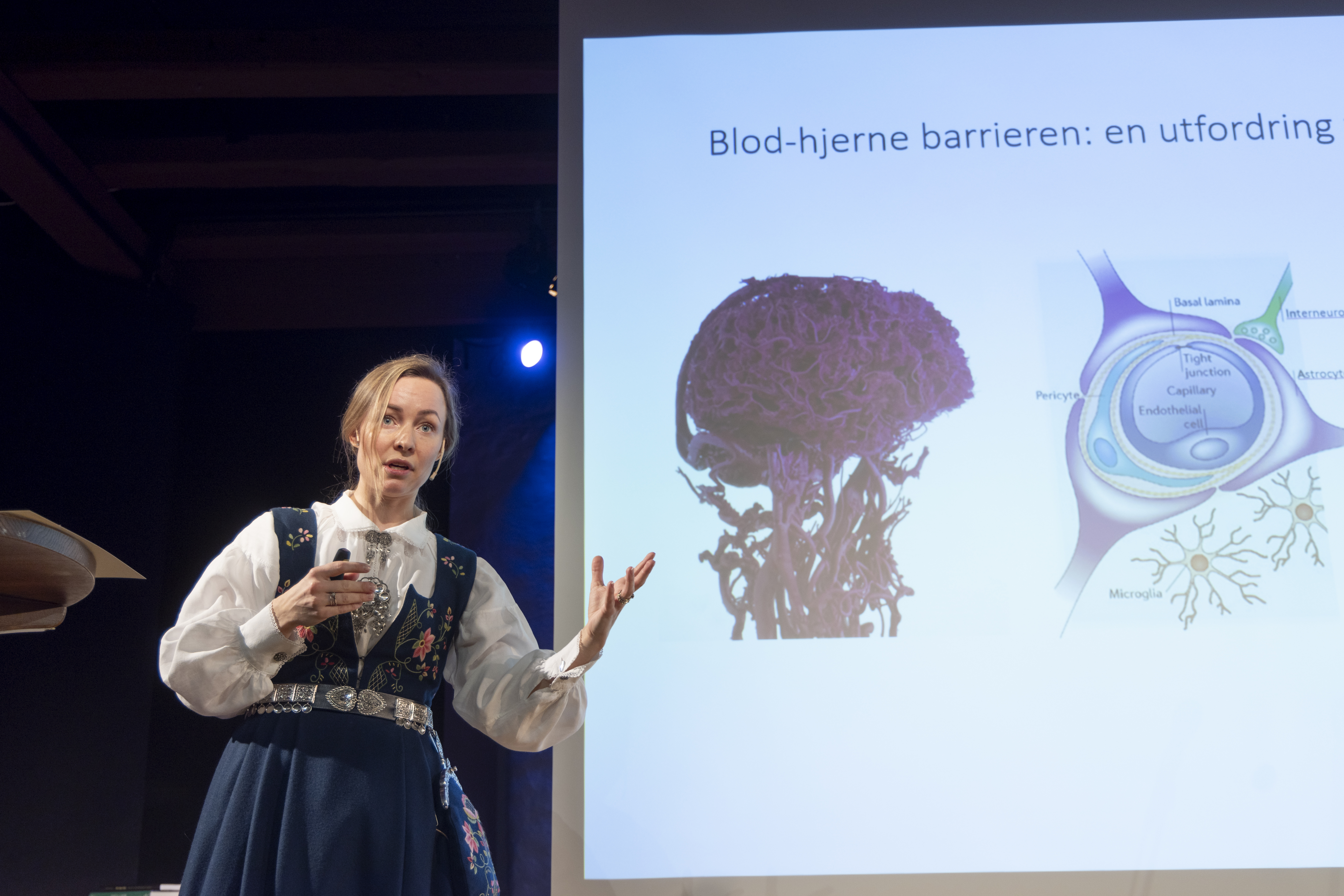 Foreslå en forsker til vitenskapelig priser