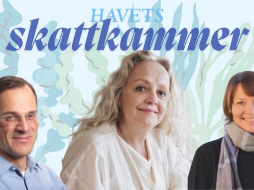 Gunnerusforelesning: Havets skattkammer