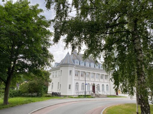 DKNVS søker prosjektrådgiver